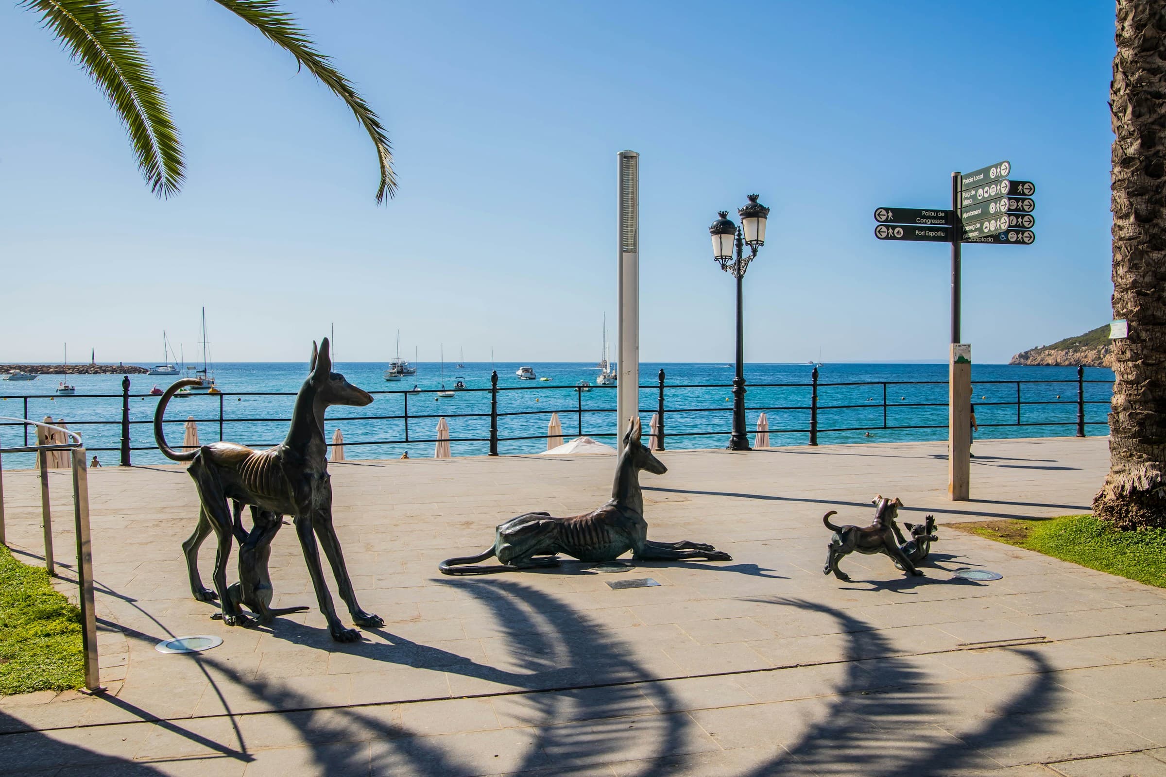 Власти Ибицы ограничивают число туристических автомобилей в высокий сезон