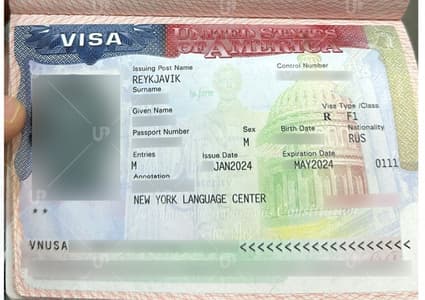 Виза США