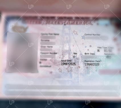 Виза США